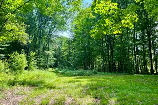 0 Benson Hill Rd, West Paris, ME 04289 - Photo 7