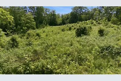 273 Wiley Road, Greene, ME 04236 - Photo 5