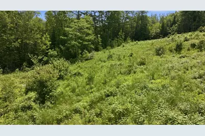 273 Wiley Road, Greene, ME 04236 - Photo 13