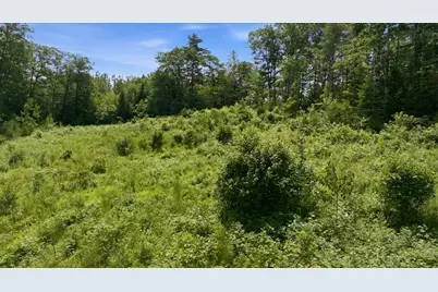 273 Wiley Road, Greene, ME 04236 - Photo 9