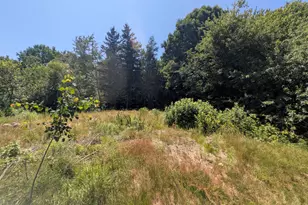 115 Wyman Rd, Milbridge, ME 04658 - Photo 37