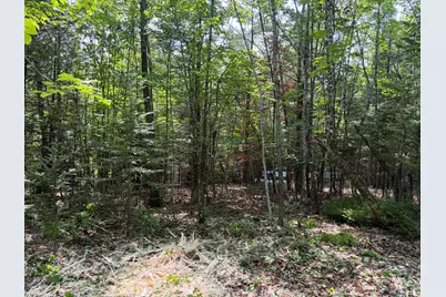 Lot 5 Holley Road, Farmington, ME 04938 - Photo 5