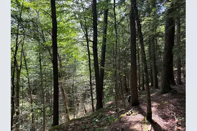 32 Acres Belden Woods Road, Palermo, ME 04354 - Photo 15