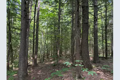 32 Acres Belden Woods Road, Palermo, ME 04354 - Photo 11