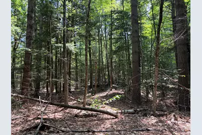 32 Acres Belden Woods Road, Palermo, ME 04354 - Photo 13