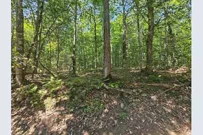 Lot 5 North Merrill Road, Harmony, ME 04942 - Photo 9