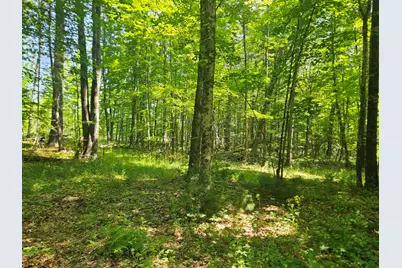 Lot 5 North Merrill Road, Harmony, ME 04942 - Photo 11