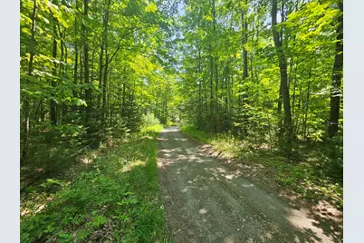 Lot 5 North Merrill Road, Harmony, ME 04942 - Photo 5