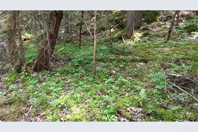 1183 Old Waterford Road, Lovell, ME 04051 - Photo 9