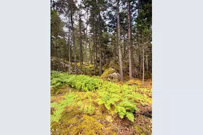 0 Young Road, Vinalhaven, ME 04863 - Photo 5