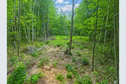 Lot 20-3 Pine Hill Road, Monmouth, ME 04259 - Photo 5