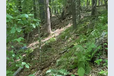 0 Seavey Corner Road #TBD, Mount Vernon, ME 04352 - Photo 11