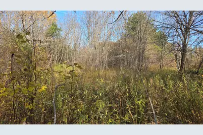 65 Center Street, Baring Plantation, ME 04694 - Photo 5