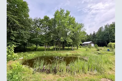 1097 Main Street, Springfield, ME 04487 - Photo 61