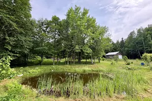 1097 Main St, Springfield, ME 04487 - Photo 61