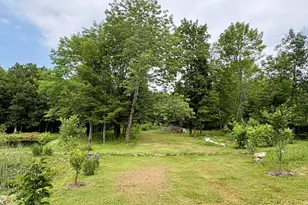 1097 Main St, Springfield, ME 04487 - Photo 65