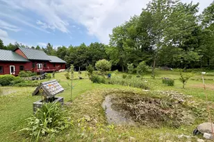 1097 Main St, Springfield, ME 04487 - Photo 67