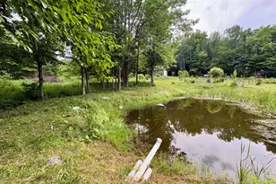 1097 Main St, Springfield, ME 04487 - Photo 63