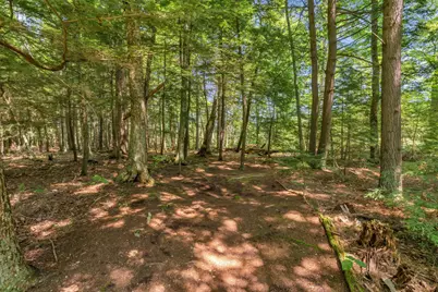 37 Loon Drive, Newport, ME 04953 - Photo 77