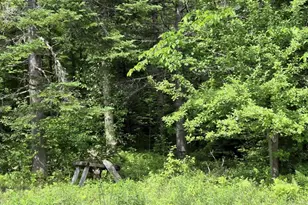 137 Butterfield Rd, New Sharon, ME 04955 - Photo 27