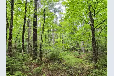 137 Butterfield Road, New Sharon, ME 04955 - Photo 25
