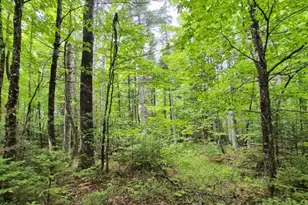 137 Butterfield Rd, New Sharon, ME 04955 - Photo 25