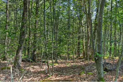 81 Mountain Road #Lot A, York, ME 03902 - Photo 1