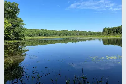 00Lowerfal Lower Falls Road, Orland, ME 04472 - Photo 3