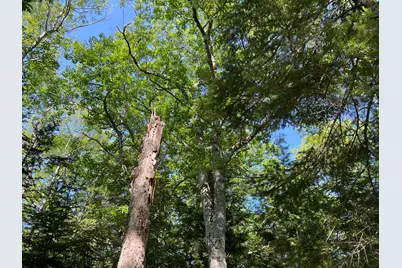 00Lowerfal Lower Falls Road, Orland, ME 04472 - Photo 9