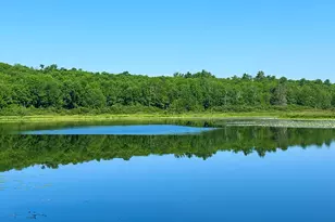 00Lowerfal Lower Falls Rd, Orland, ME 04472 - Photo 1