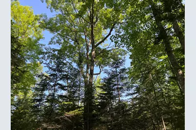 00Lowerfal Lower Falls Road, Orland, ME 04472 - Photo 11