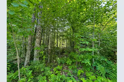 50 Wilderness Park Road, Mattawamkeag, ME 04459 - Photo 15
