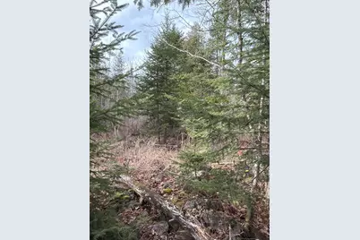 485 Hudson Road, Corinth, ME 04427 - Photo 33