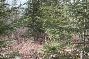 485 Hudson Rd, Corinth, ME 04427 - Photo 33