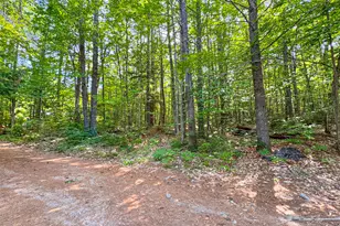 39 Wells Rd, Bridgton, ME 04009 - Photo 71