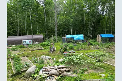 135 Clearcut Lodge Road, Springfield, ME 04487 - Photo 5