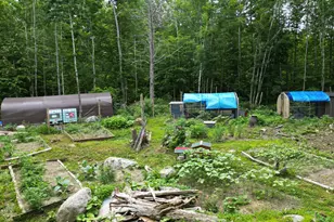 135 Clearcut Lodge Rd, Springfield, ME 04487 - Photo 5