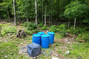 135 Clearcut Lodge Rd, Springfield, ME 04487 - Photo 21