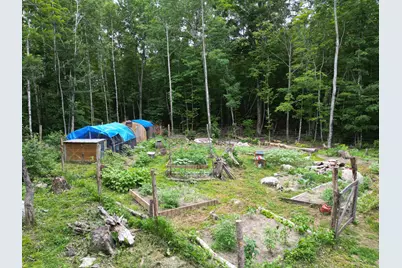 135 Clearcut Lodge Road, Springfield, ME 04487 - Photo 23