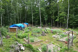 135 Clearcut Lodge Rd, Springfield, ME 04487 - Photo 23