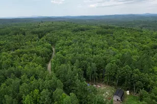 135 Clearcut Lodge Rd, Springfield, ME 04487 - Photo 19