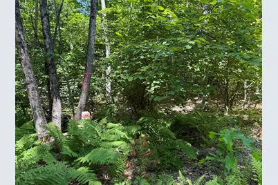 #00 Maplewood Road, Newfield, ME 04095 - Photo 3