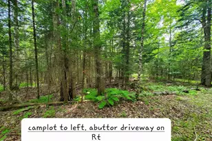 135 Andrews Rd, Corinth, ME 04427 - Photo 31