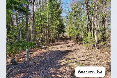 135 Andrews Road, Corinth, ME 04427 - Photo 3