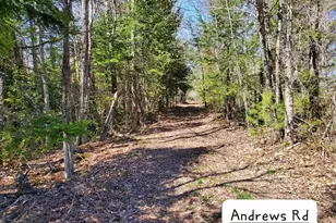 135 Andrews Rd, Corinth, ME 04427 - Photo 3