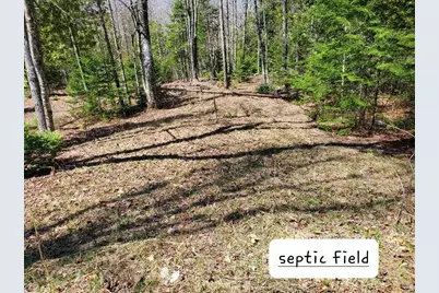 135 Andrews Road, Corinth, ME 04427 - Photo 5