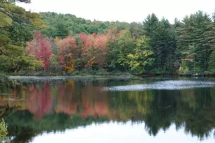 13 & 16 Joyal Hill Ln, Casco, ME 04015 - Photo 99
