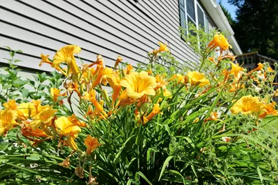 89 Boot Cove Lane, Winthrop, ME 04364 - Photo 19