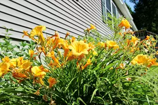 89 Boot Cove Ln, Winthrop, ME 04364 - Photo 19
