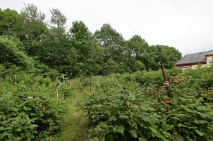 1146 Post Rd, Bowdoinham, ME 04008 - Photo 11